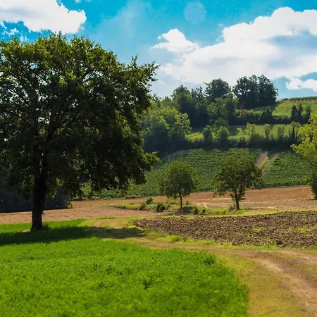 Ca Dell'ebbro Отель Vignale Monferrato